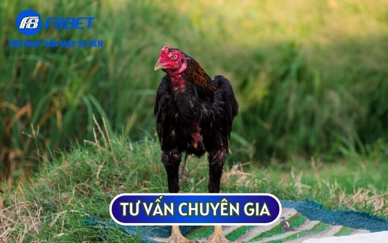 Hãy tìm đến chuyên gia để có kiến thức và hướng dẫn cụ thể về cách điều trị