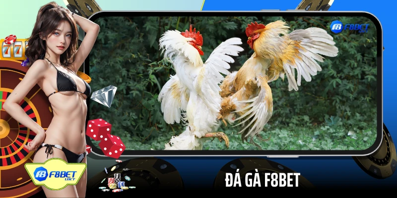 Đá gà F8BET